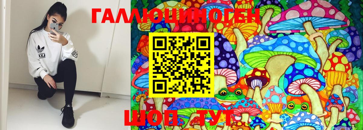 Галлюциногенные грибы GOLDEN TEACHER Нижний Тагил
