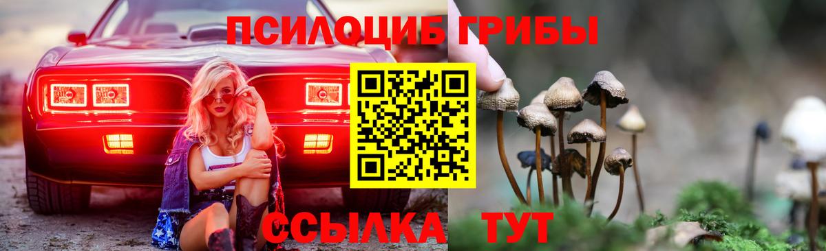 Галлюциногенные грибы MAGIC MUSHROOMS  как найти закладки  Нижний Тагил  Вход с VPN  Галлюциногенные грибы Psilocybe 